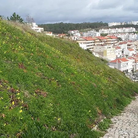 Сasa de vacaciones Ocean View Villa Nazaré